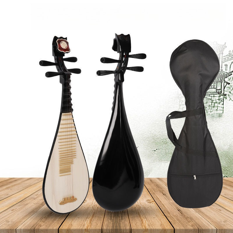 Pipa profesional para adultos  - Musical Instrument Harmonium reseña y precio